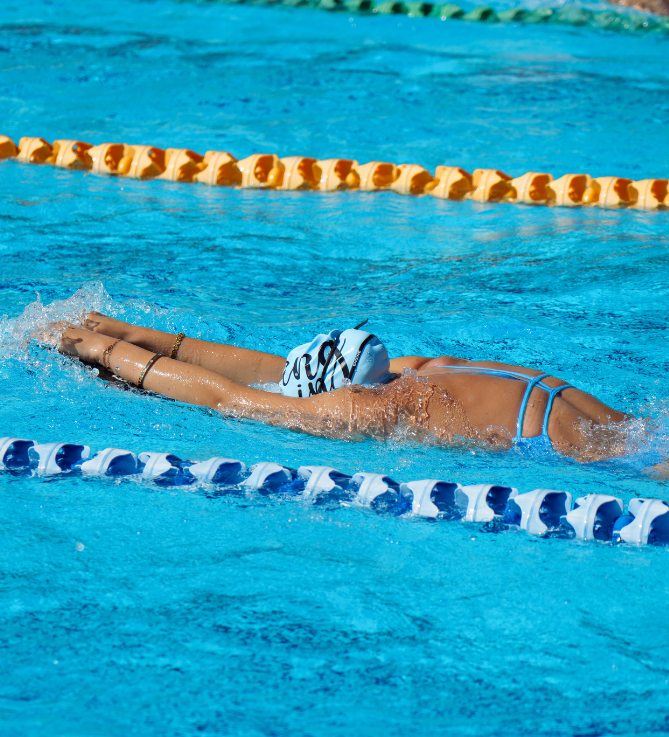 #colour_cornflower-blue