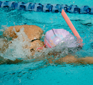 Training Accessories